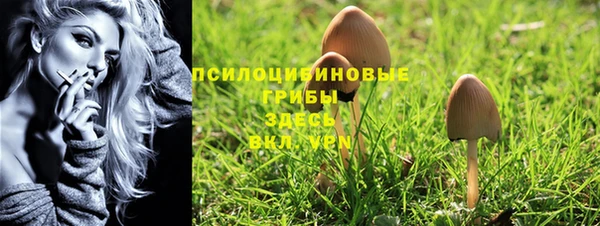 spice Армянск