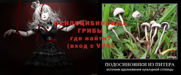 герыч Арсеньев