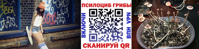 Псилоцибиновые грибы Magic Shrooms  KRAKEN ONION  Сокол 